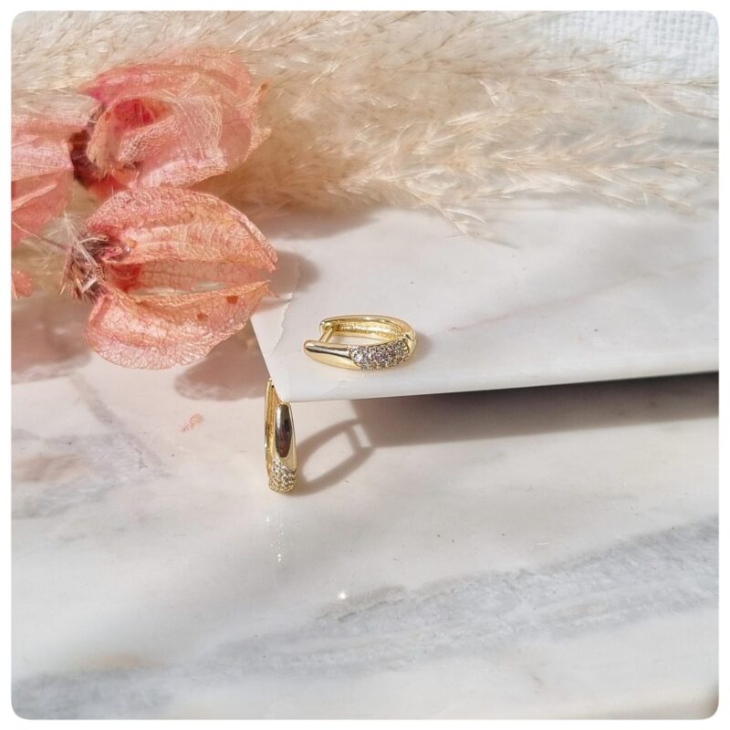 Brinco dourado argola com zircônias P